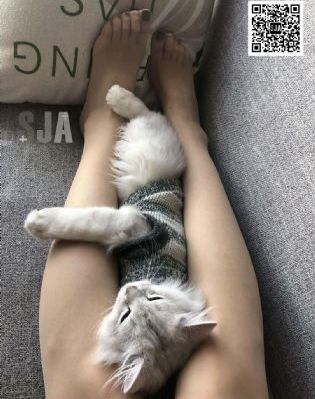 万古最强宗动漫_蓝光免费观看